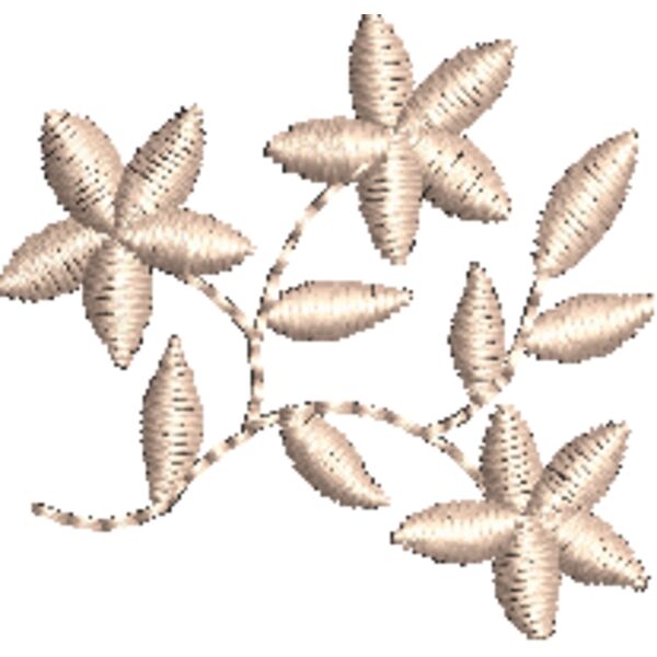 NZ791 Thumbnail