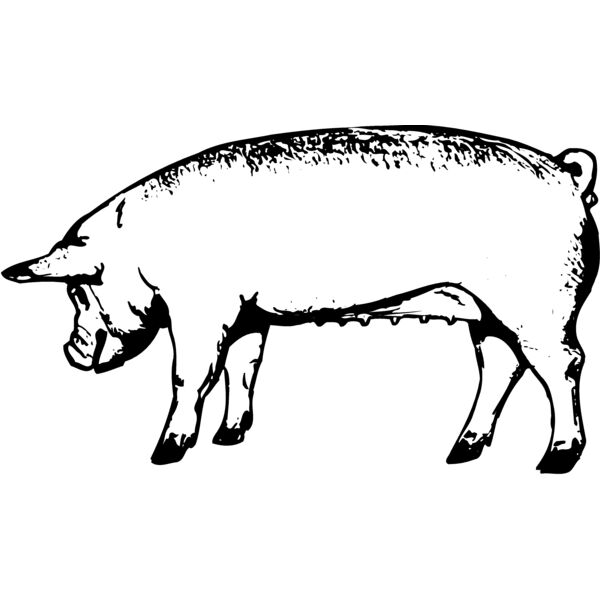 SOW0001 Thumbnail