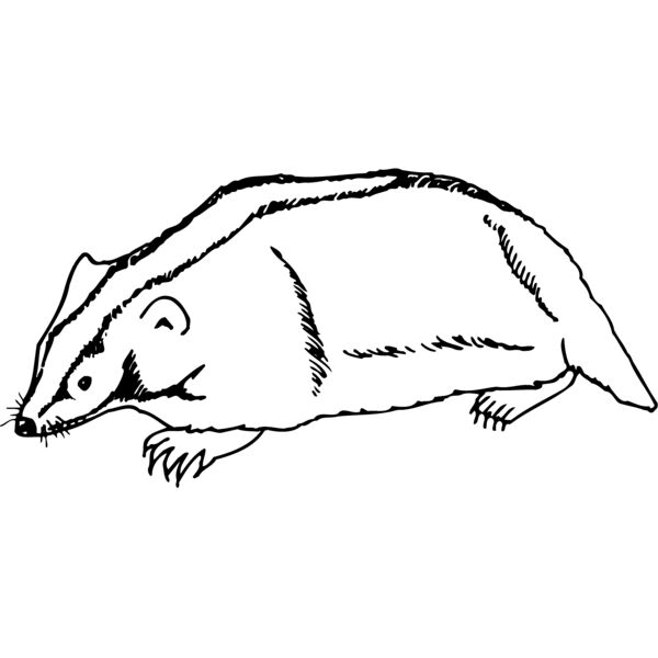 BADGER06 Thumbnail