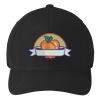 Flexfit 110 ® & Dry Mini Pique Cap Thumbnail