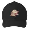 Flexfit 110 ® & Dry Mini Pique Cap Thumbnail