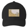 Flexfit 110 ® & Dry Mini Pique Cap Thumbnail