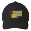Flexfit 110 ® & Dry Mini Pique Cap Thumbnail