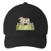 Flexfit 110 ® & Dry Mini Pique Cap Thumbnail